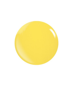 Colores Acrílicos Pigmentados – Polvos Duraderos y Resistentes