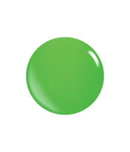Colores Acrílicos Pigmentados – Polvos Duraderos y Resistentes